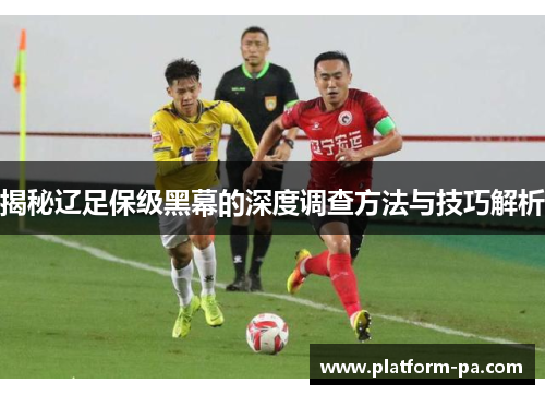 揭秘辽足保级黑幕的深度调查方法与技巧解析