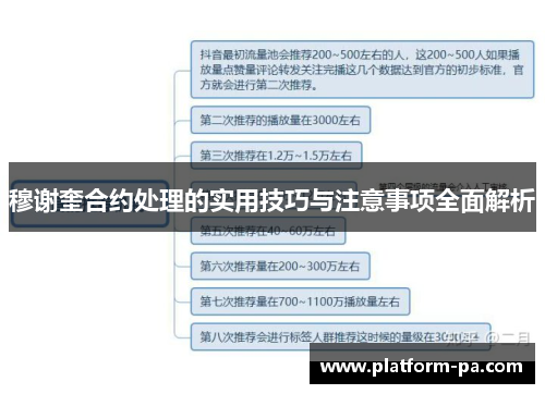 穆谢奎合约处理的实用技巧与注意事项全面解析