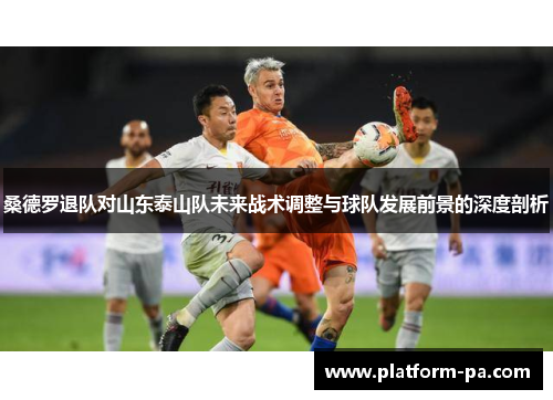 桑德罗退队对山东泰山队未来战术调整与球队发展前景的深度剖析
