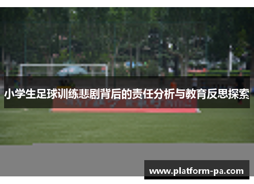 小学生足球训练悲剧背后的责任分析与教育反思探索