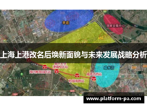 上海上港改名后焕新面貌与未来发展战略分析