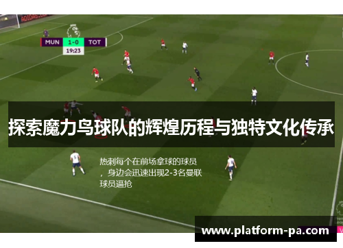 探索魔力鸟球队的辉煌历程与独特文化传承