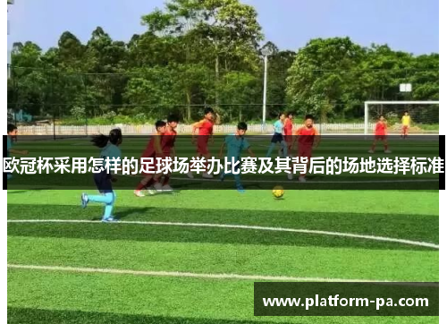 欧冠杯采用怎样的足球场举办比赛及其背后的场地选择标准