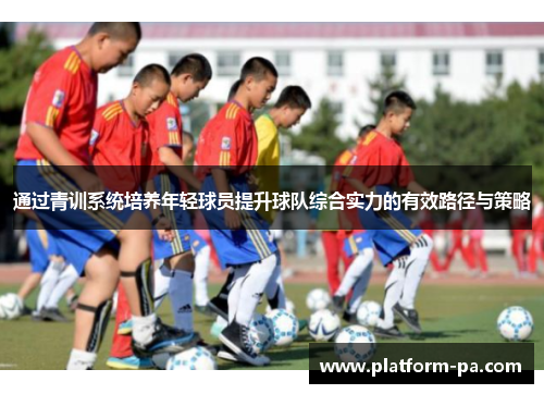 通过青训系统培养年轻球员提升球队综合实力的有效路径与策略