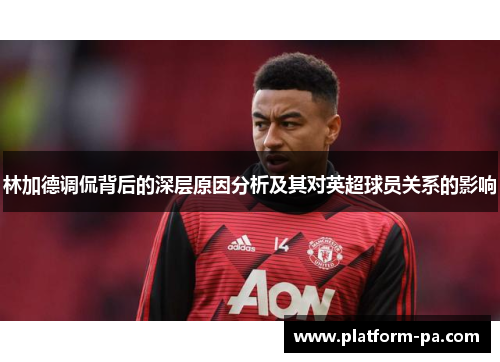 林加德调侃背后的深层原因分析及其对英超球员关系的影响