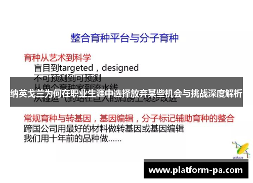 纳英戈兰为何在职业生涯中选择放弃某些机会与挑战深度解析 纳英戈兰为何在职业生涯中选择放弃某些机会与挑战深度解析