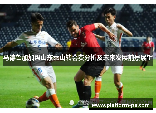 马德鲁加加盟山东泰山转会费分析及未来发展前景展望