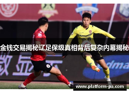 金钱交易揭秘辽足保级真相背后复杂内幕揭秘