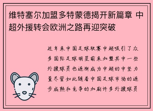 维特塞尔加盟多特蒙德揭开新篇章 中超外援转会欧洲之路再迎突破 维特塞尔加盟多特蒙德揭开新篇章 中超外援转会欧洲之路再迎突破